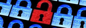 PCI Qualified Security Assessors
