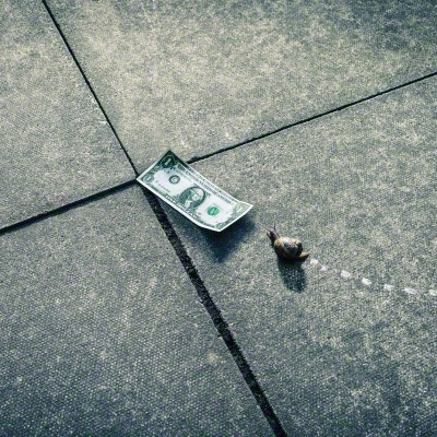 snail inching toward dollar bill