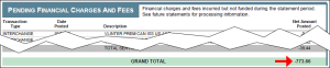 Credit card processing fees statement